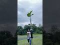 Flying Cards Amazing stunts || Challenge for all || RKR Tricks