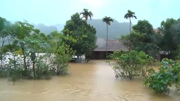 Mưa Lũ Miền Trung: Mưa lũ gây thiệt hại nghiêm trọng tại Quảng Bình