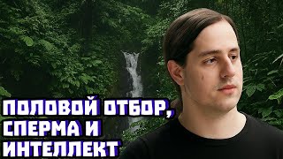 Половой отбор, сперма и интеллект | Владимир Алипов