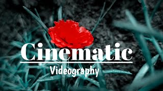 Shoot Cinematic Video | with smartphone,,