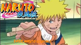 Enter: Naruto Uzumaki, NARUTO