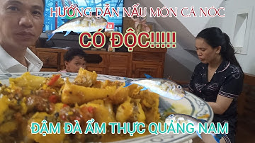 HƯỚNG DẪN CÁCH LÀM CÁ NÓC( GÀ BIỂN) KHÔNG ĐỘC VÀ CHẾ BIẾN MÓN CÁ NÓC KHO SÃ ỚT ĐẬM VỊ DÂN QUẢNG NAM
