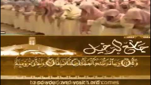 قراءة مؤثرة للشيخ ياسر الدوسري من سورة الفجر.مترجم