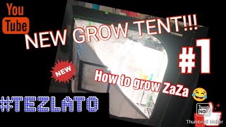 NEW GROW TENT | #TEZLATO | HOW TO BUFFER COCO COIR | GROWING WEED INDOORS