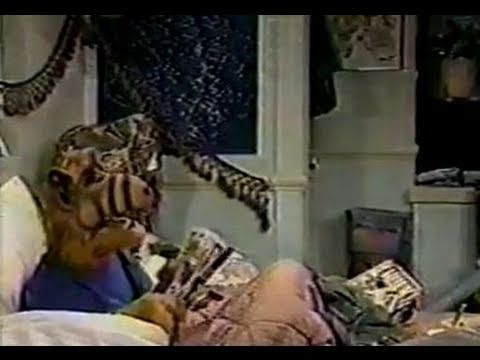 Was Alf Racist? Alf Says the N-Word - YouTube