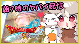 はやおきのおともだち＾＾　ドラゴンクエスト10