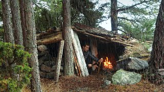 Camping in RELAXING RAIN: My Cozy Bushcraft Shelter on an Island (Rain Sounds ASMR)