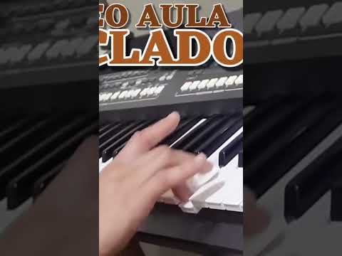 JUMENTINHO - ZÉ