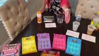 Peeps Science Experiment