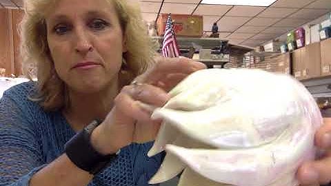 Skill of the week   glaze technique results