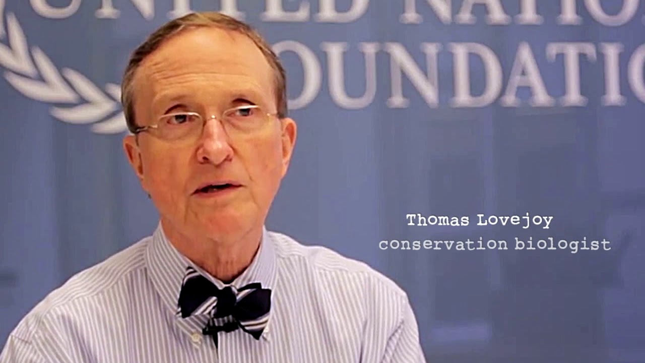 RIVER OF GOLD TRAILER 2020