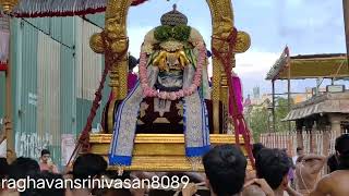 வசந்த உற்சவம் நாள் -4 l Vasanthotsavam பார்த்தசாரதி பெருமாள்