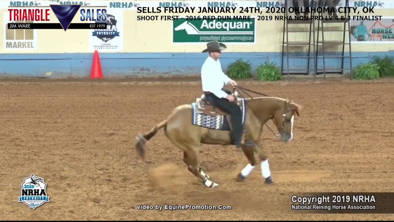 Shoot First Triangle Sale January 2020 YouTube