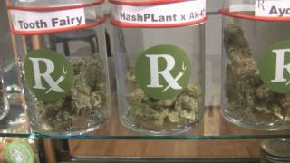 tokin daily: Pride in Medicine dispensary tour
