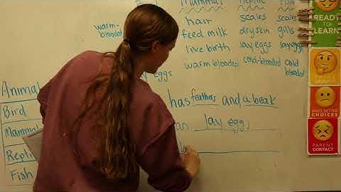 2nd Grade - Lesson 1 - Module 7 - MATH