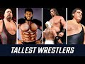 Top 50 Tallest Wrestlers of All Time | Ranked by Height | André the Giant is NOT #1 #wwe