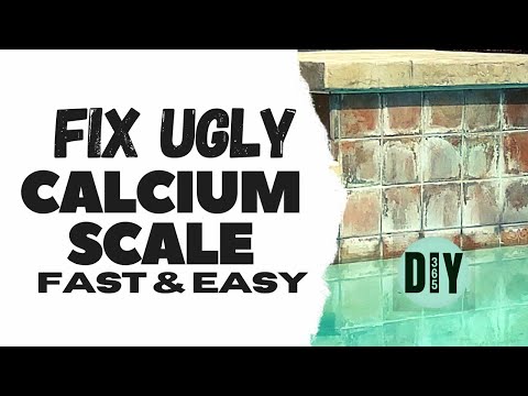 Easy Quick Fix Calcium Scale DIY #cleaninghacks #howto