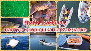 Рыбалка на Камчатке: Камчатские крабы, палтус, камбала, терпуг, навага и корюшка - разом !