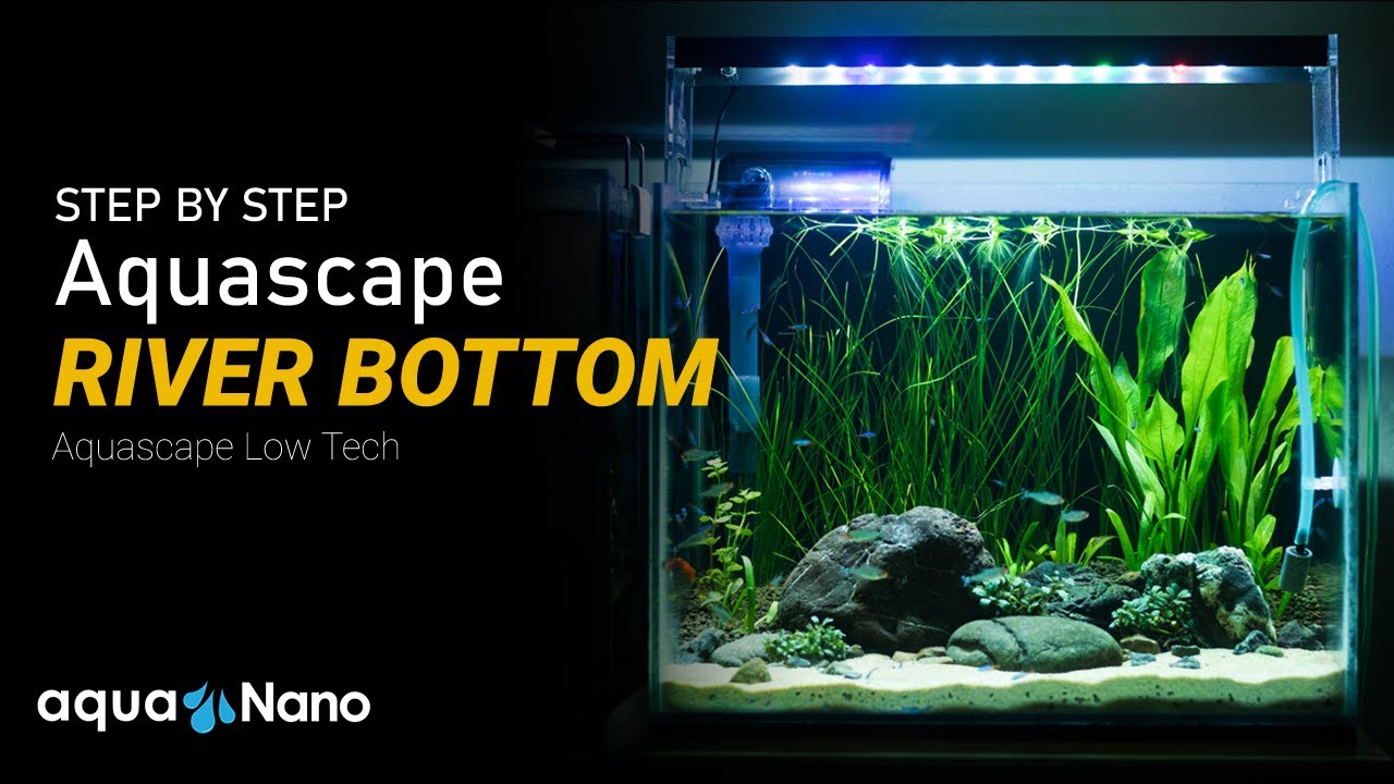 Aquascape River Bottom - Aquascape LowTech by AquaNano