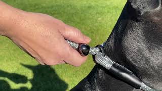 4Knines Leash Toggle by 4Knines® 76 views 3 months ago 9 seconds