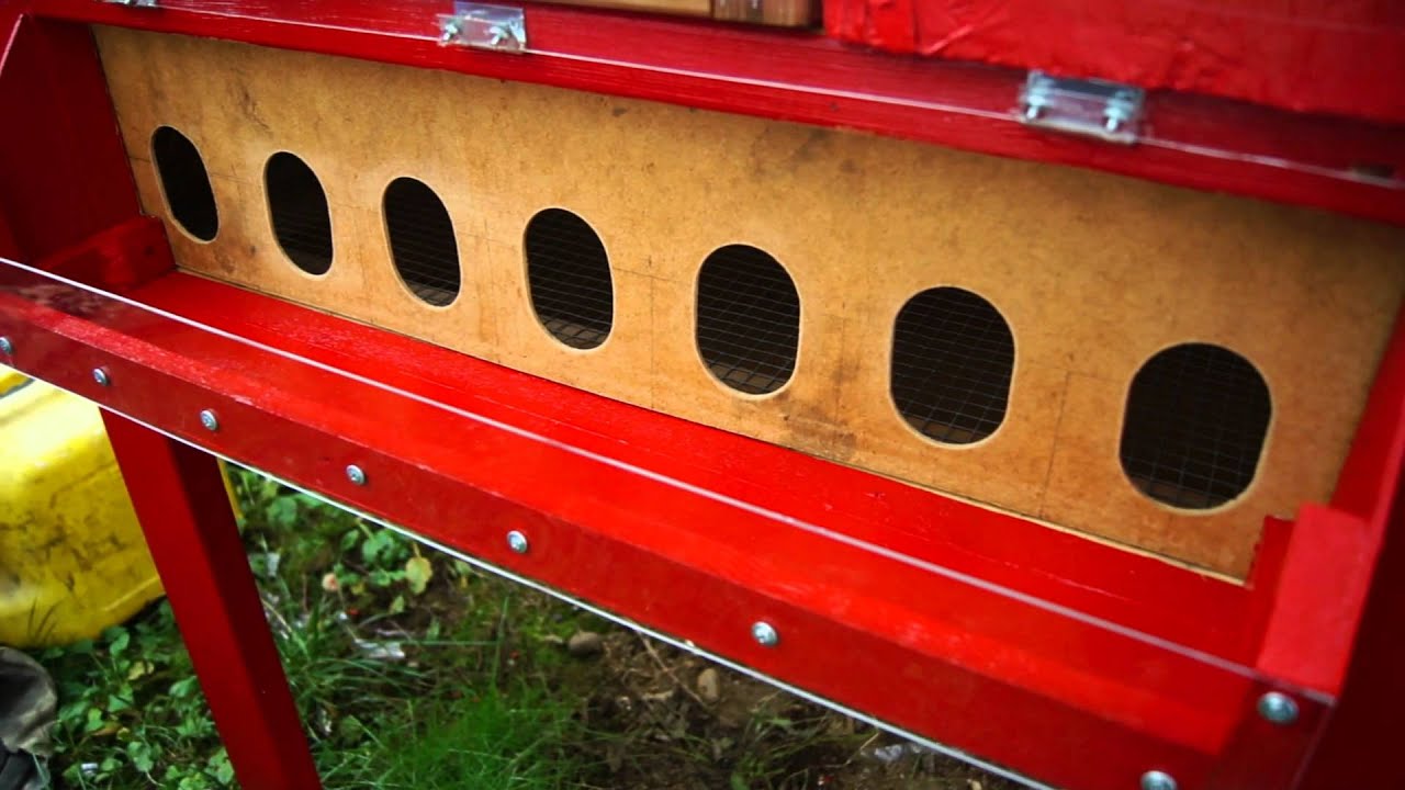 Pigeon Kit Box HD YouTube