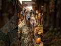 BRUNO TAKES BALI! 🐾 | Epic Island Adventure 2026 #funnydogshorts #aidog #bali #indonesia #travel