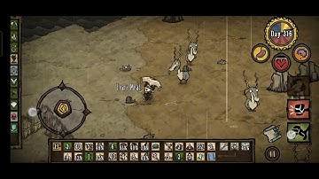 This frog licks out leafy meats from a lureplant - Don