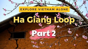 Part 2 l Travel Vietnam Alone - Ha Giang Loop l Jasmine Tour
