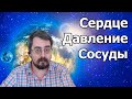 Сердце, давление, сосуды