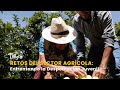 Retos del Sector Agrícola: Enfrentando la Despoblación Juvenil - TvAgro por Juan Gonzalo Angel