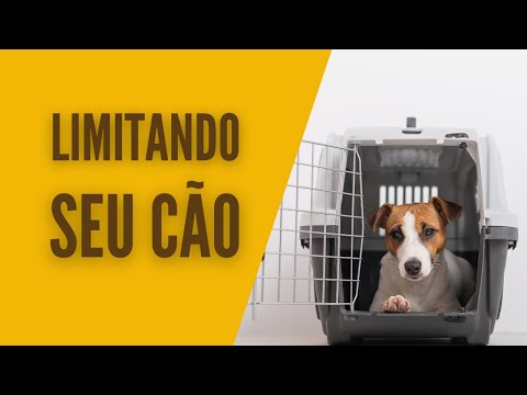 Vídeo: Como limitar sua responsabilidade se seu cão morde