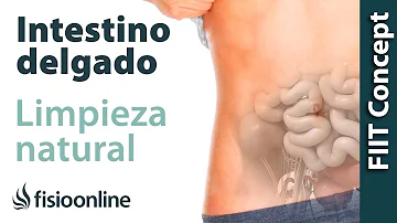 ¿Cómo puedo desintoxicar mi intestino de forma natural?