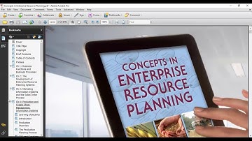 ACCOUNTING IN ERP SYSTEMS