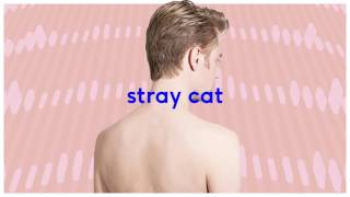 Video thumbnail of "Wouter Hamel - Stray Cat (Official Audio)"