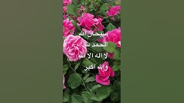 #دعاء #اكسبلور #قرآن #لايك #تيك_توك #تكبيرات_العيد #صباح_الخير #اذكار_الصباح #ترند