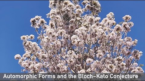 Euler Systems for Conjugate-symplectic Motives by Daniel Disegni