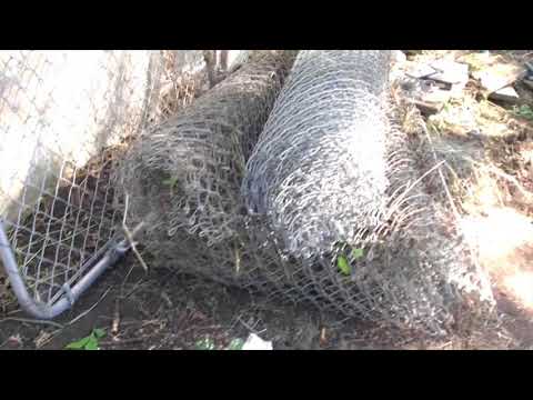 The yard files: it begins...