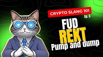 Crypto Slang 101 Ep. 3 - FUD, REKT, Pump and Dump | Cat Academy