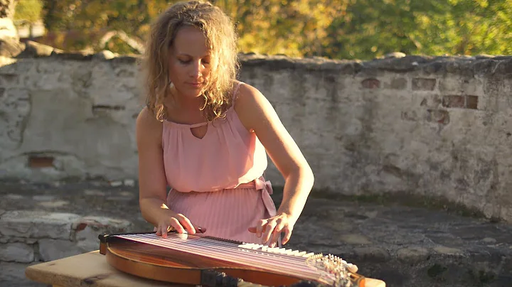 Nothing Else Matters - Zither und Kontrabass Instr...
