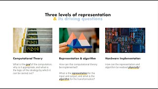 Representationalism and Vision by David Marr