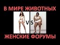 В мире животных - Женские форумы