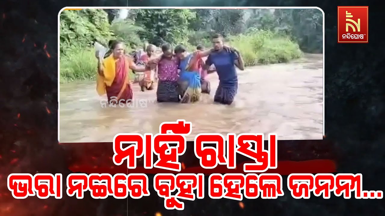 No Road...Pregnant Woman Carried Across Overflowing Drain in Gunupur's Panchu Pandav Village