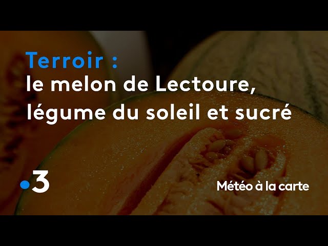 Ajoutez une touche sucrée à vos étés avec des melons gorgés de soleil