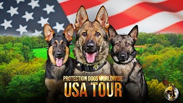 3 Incredible Stories...1 EPIC TOUR! | Protection Dogs Worldwide In The USA