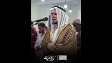 مقام الحجاز الجميل ❤️ || سورة الشورى