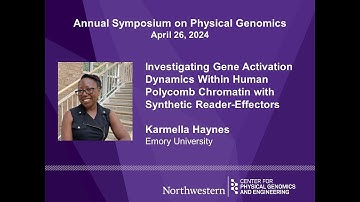 Investigating Gene Activation Dynamics in Human Polycomb Chromatin with Synthetic Reader-Effectors