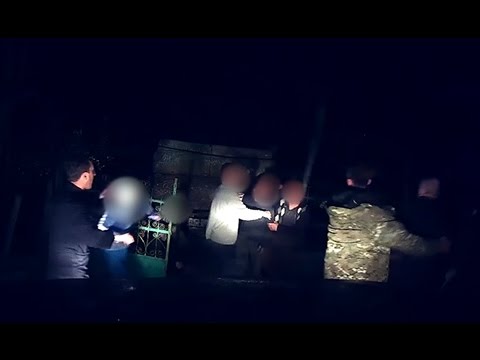 სამეგრელოში ხე-ტყის უკანონო ტრანსპორტირების ფაქტი გამოვლინდა