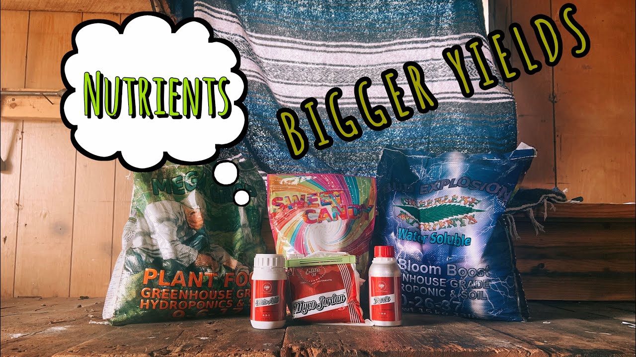 CANNABIS NUTRIENTS FOR BIGGER YIELDS