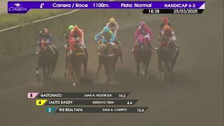 Vidéo de la course PMU PAULANDER