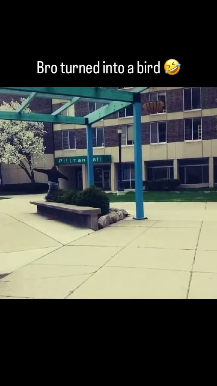 Bro turned into a bird and flew into the sky